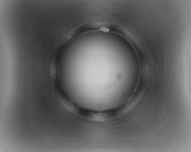 X0000116100268200911231131