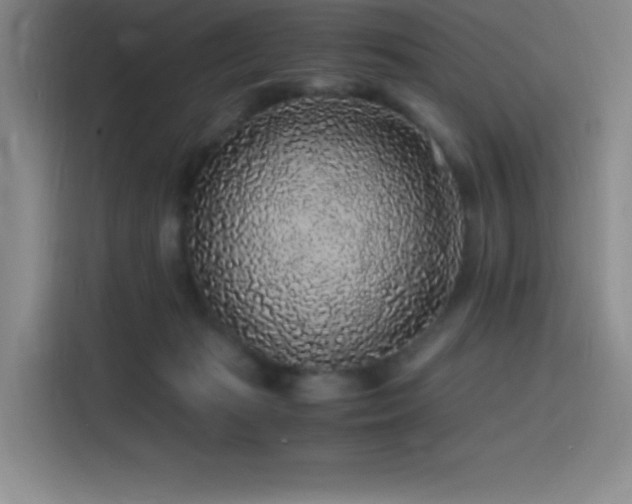 X0000116100269200911231131