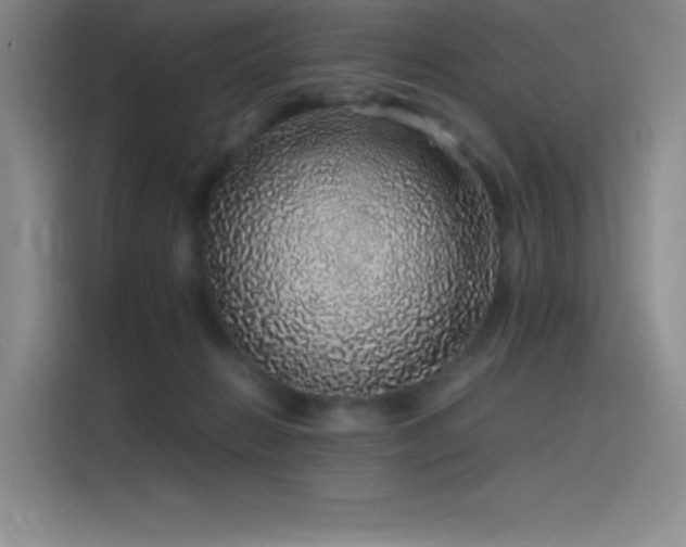 X0000116100270200911231131