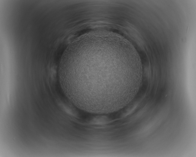 X0000116100271200911231131