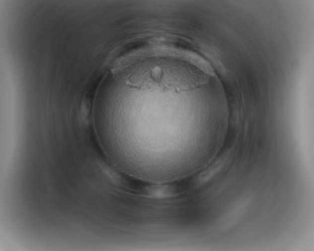 X0000116100273200911231131
