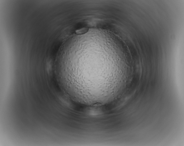 X0000116100275200911231131