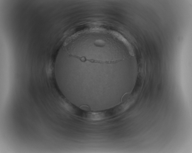 X0000116100277200911231131