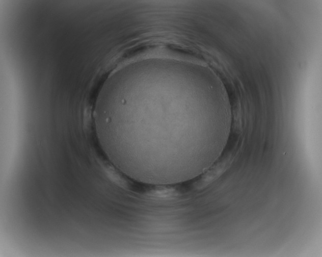 X0000116100278200911231131
