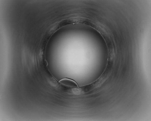 X0000116100279200911231131