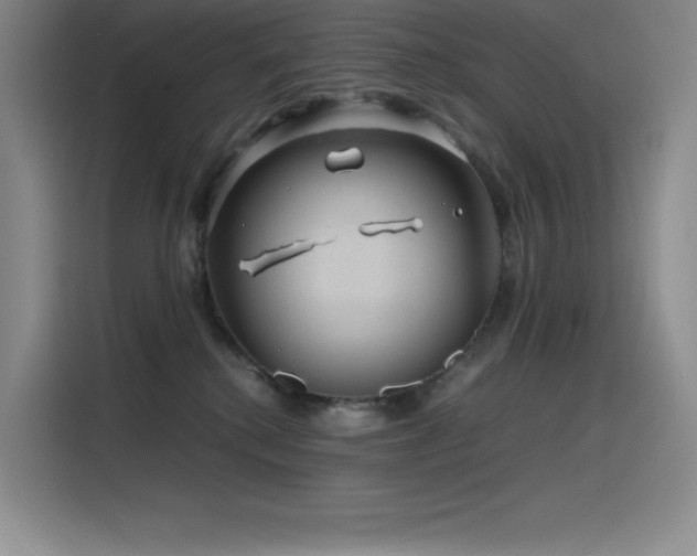 X0000116100280200911231131