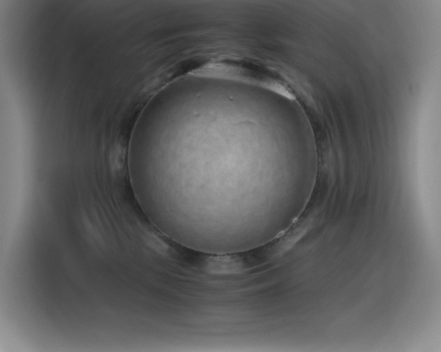 X0000116100281200911231131
