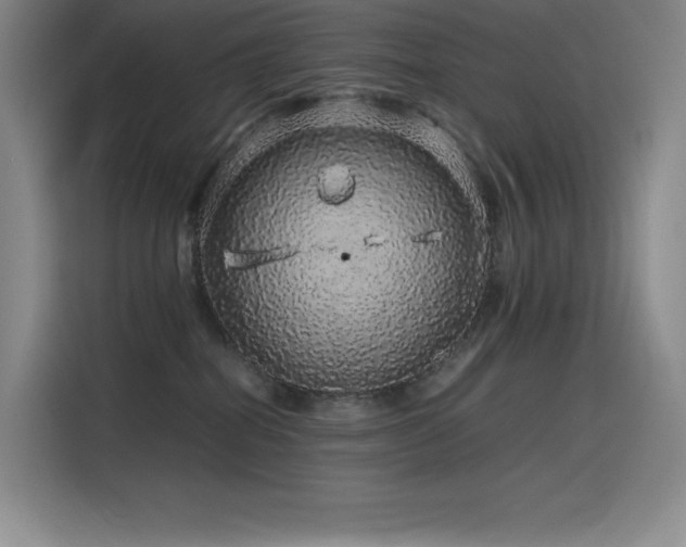 X0000116100282200911231131