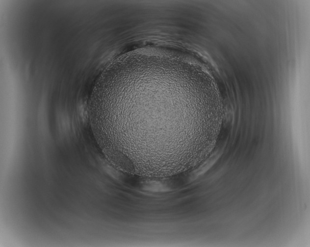 X0000116100285200911231131