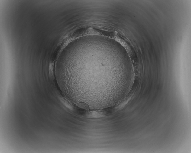 X0000116100286200911231131