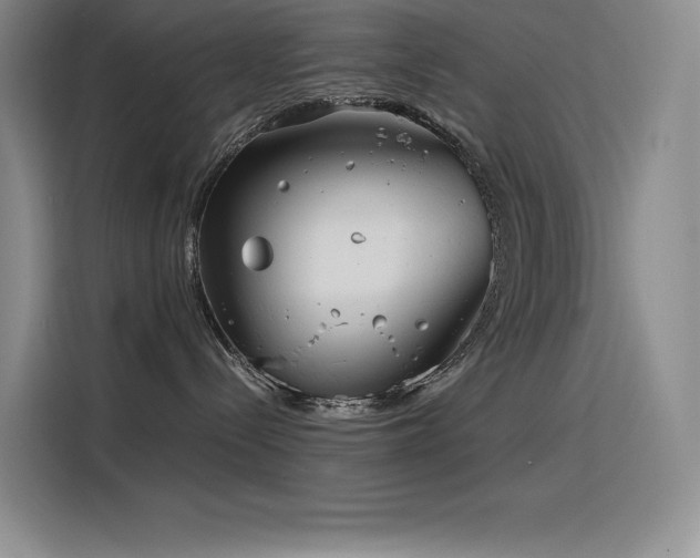 X0000116100288200911231132