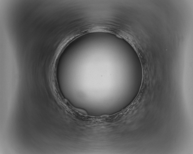 X0000116100289200911231131
