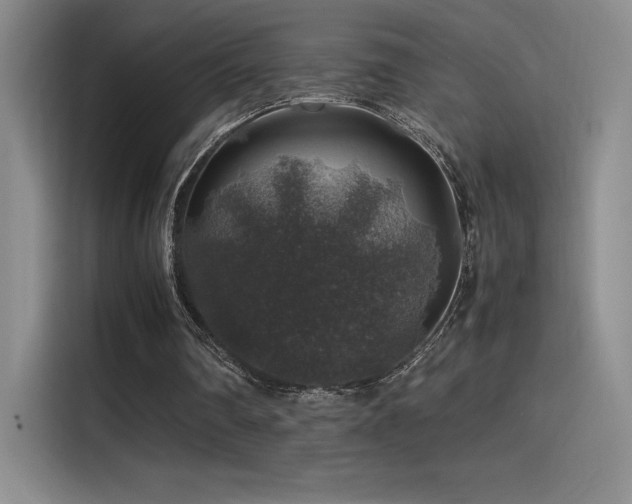 X0000116100290200911231131
