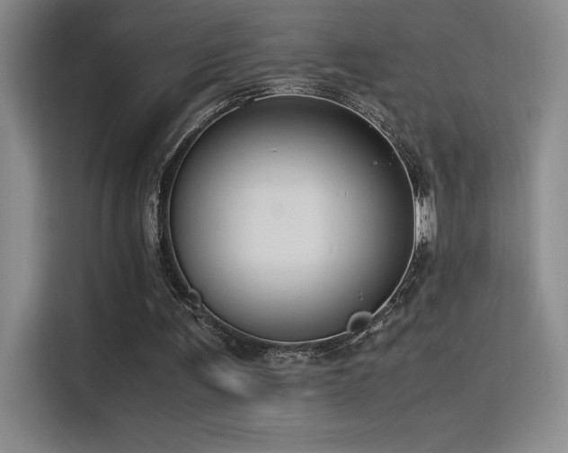 X0000116100291200911231131