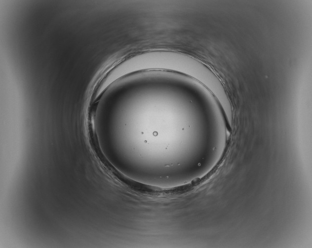 X0000116100293200911231131