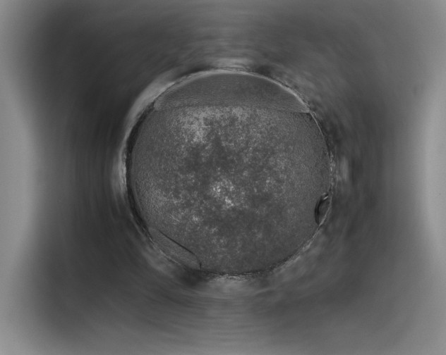 X0000116100294200911231131