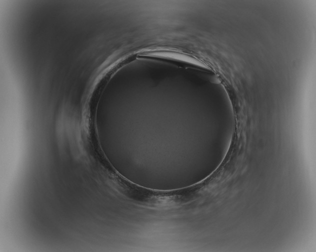 X0000116100295200911231131