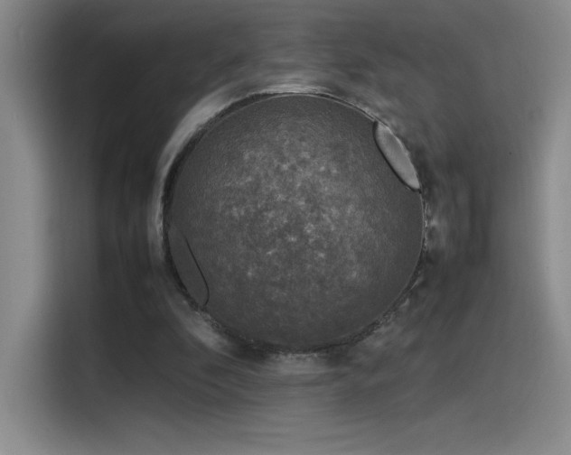 X0000116100296200911231131