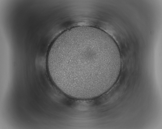 X0000116100297200911231131