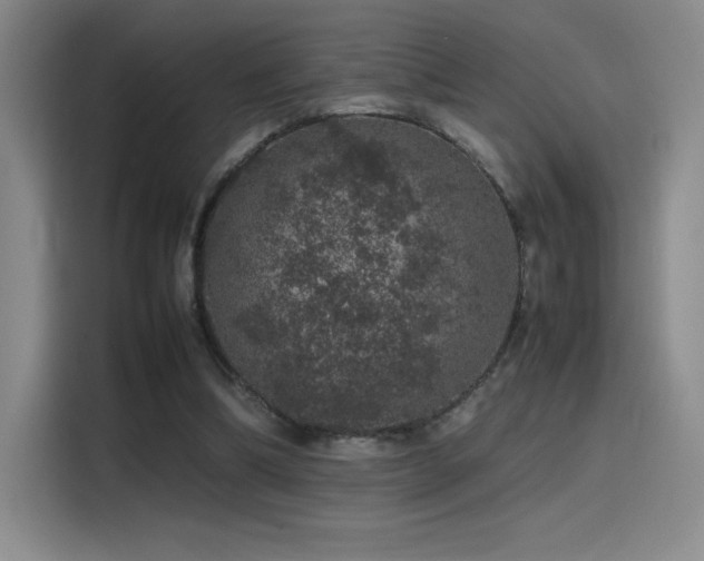 X0000116100298200911231131