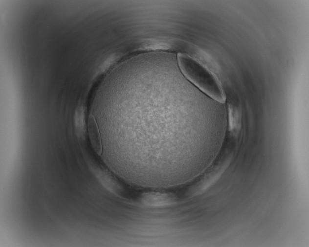 X0000116100300200911231131