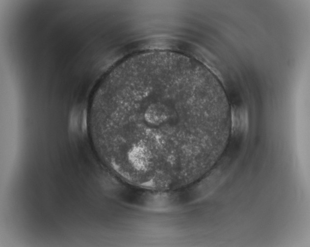 X0000116100301200911231131