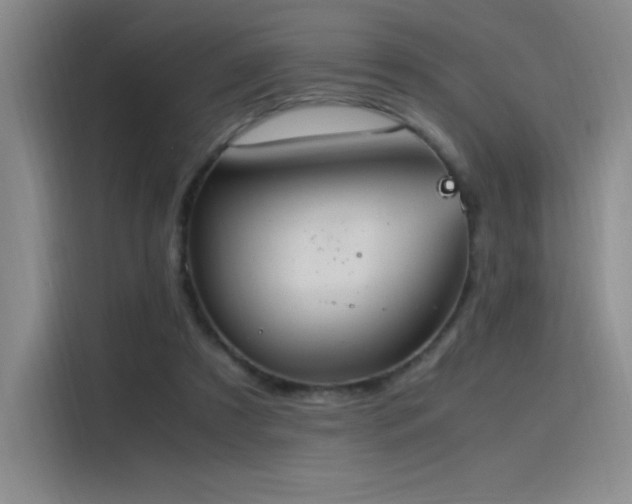 X0000116100305200911231131