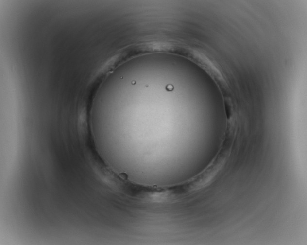 X0000116100306200911231131