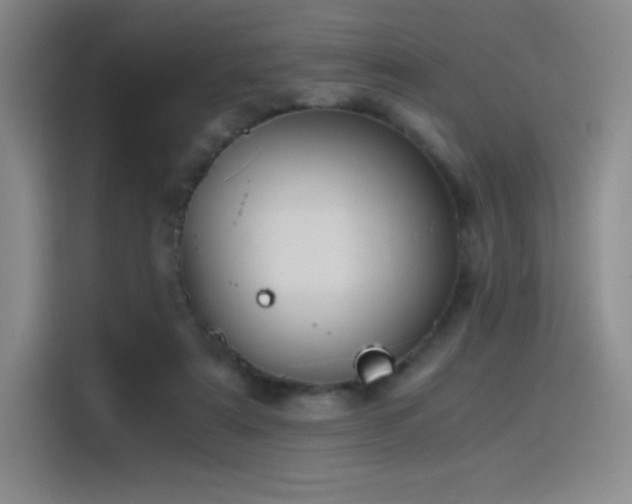 X0000116100307200911231131