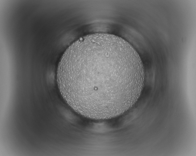 X0000116100309200911231131