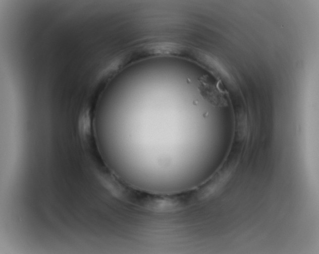 X0000116100310200911231131