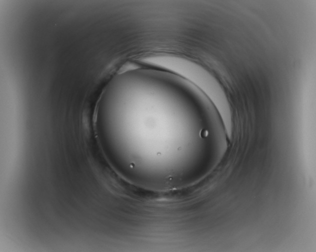 X0000116100312200911231131