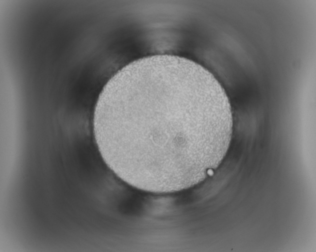 X0000116100313200911231131