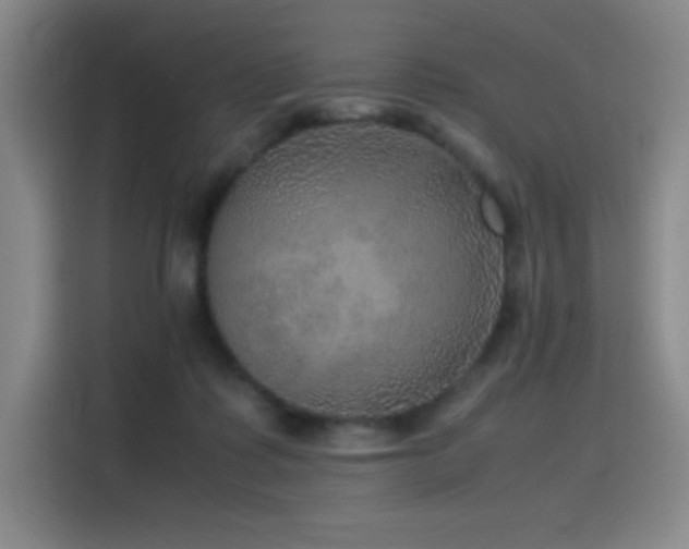 X0000116100315200911231131