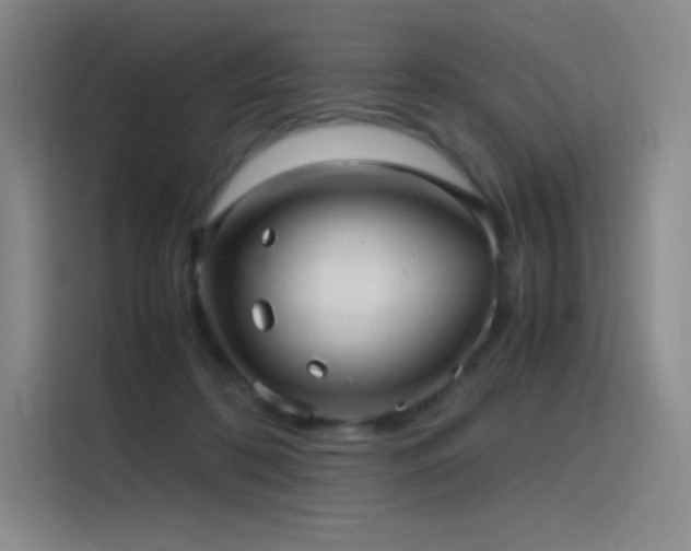 X0000116100316200911231131
