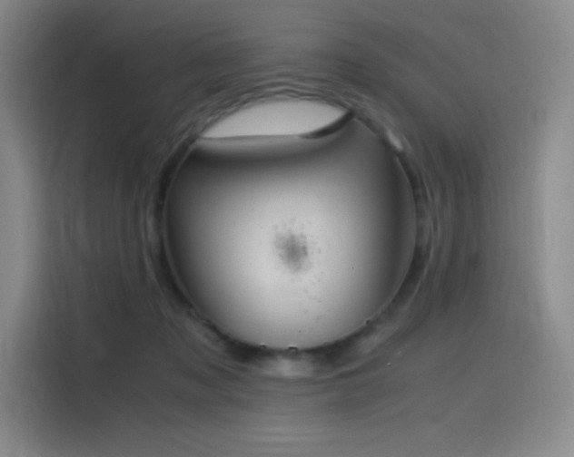 X0000116100317200911231131