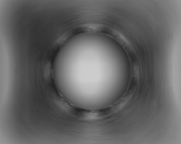 X0000116100318200911231131