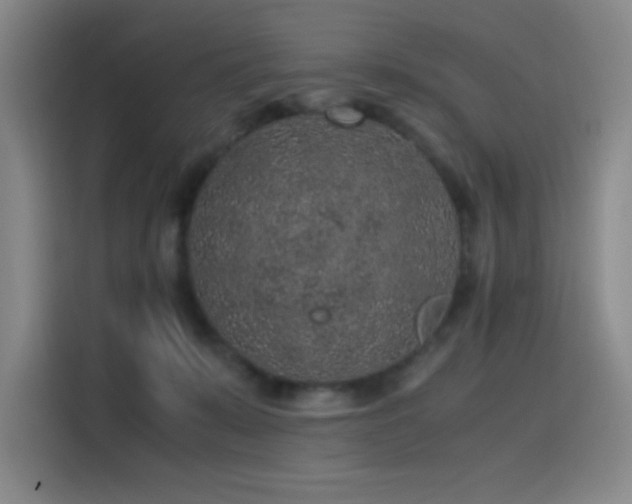 X0000116100319200911231131