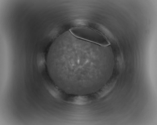 X0000116100320200911231130