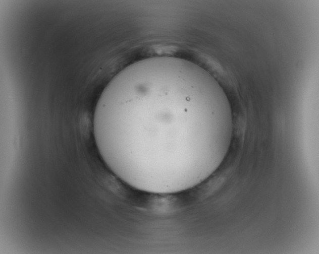 X0000116100321200911231130