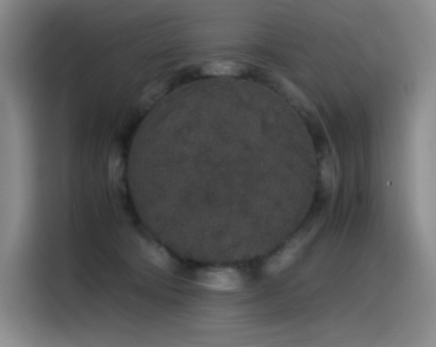 X0000116100322200911231130