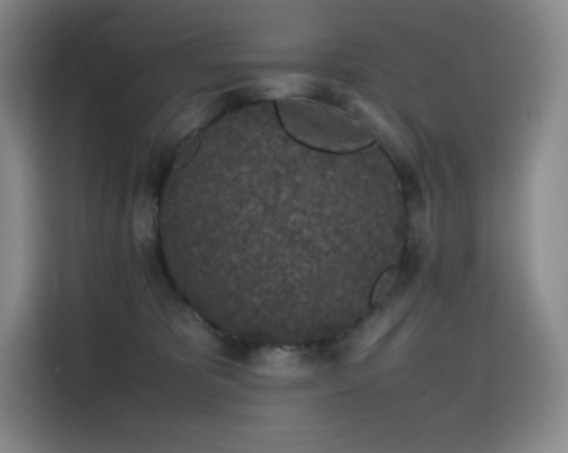 X0000116100325200911231130