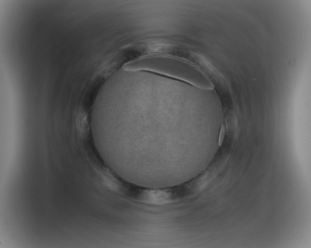 X0000116100327200911231130