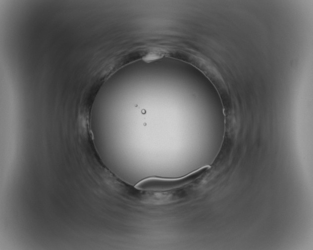 X0000116100329200911231130