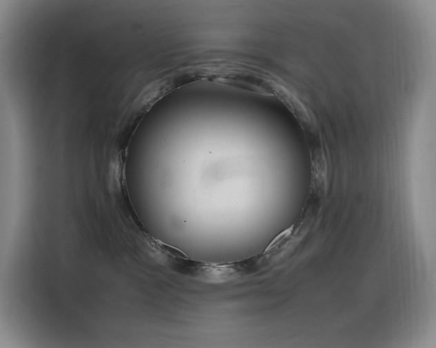 X0000116100333200911231130