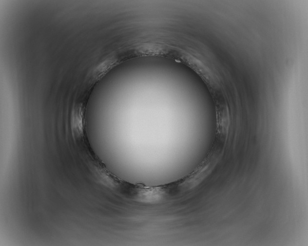 X0000116100334200911231130