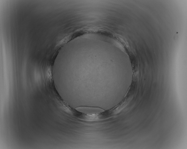 X0000116100335200911231130