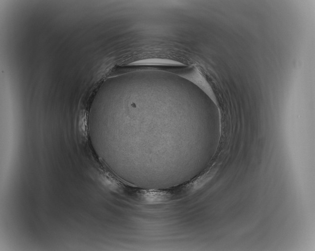 X0000116100336200911231130