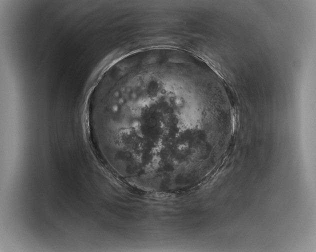 X0000116100339200911231130