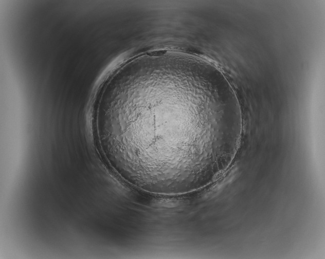 X0000116100341200911231130